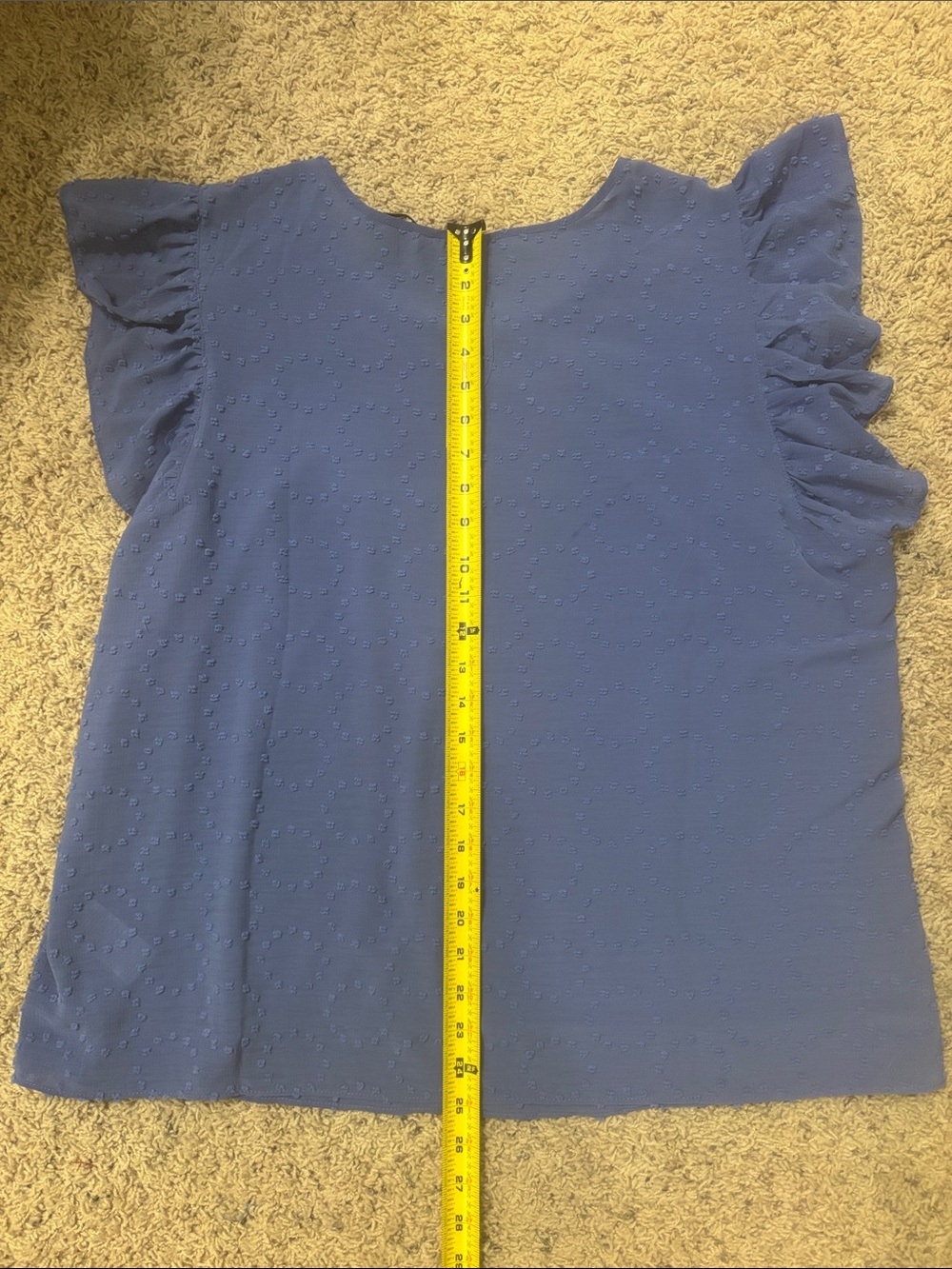 Zac & Rachel Blue Flutter Sleeve Swiss Dot Blouse - Picture 5 of 8
